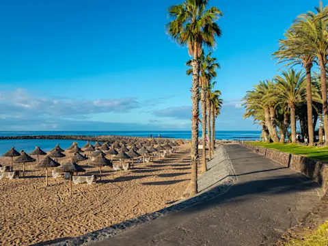 Vakantie in Playa de las Américas