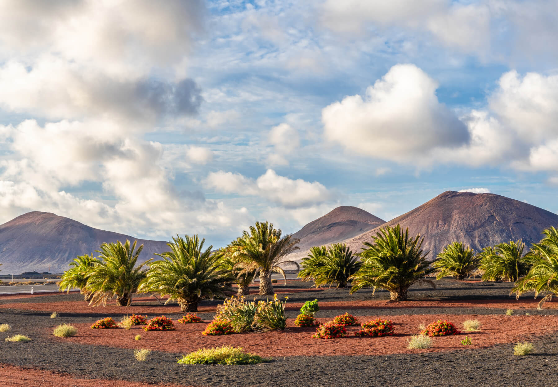 Wat is het leukste Canarische eiland: Lanzarote of Fuerteventura?