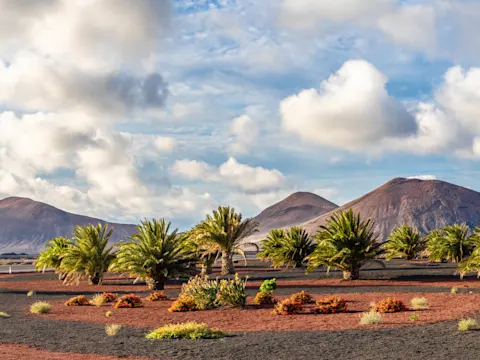 Wat is het leukste Canarische eiland: Lanzarote of Fuerteventura?