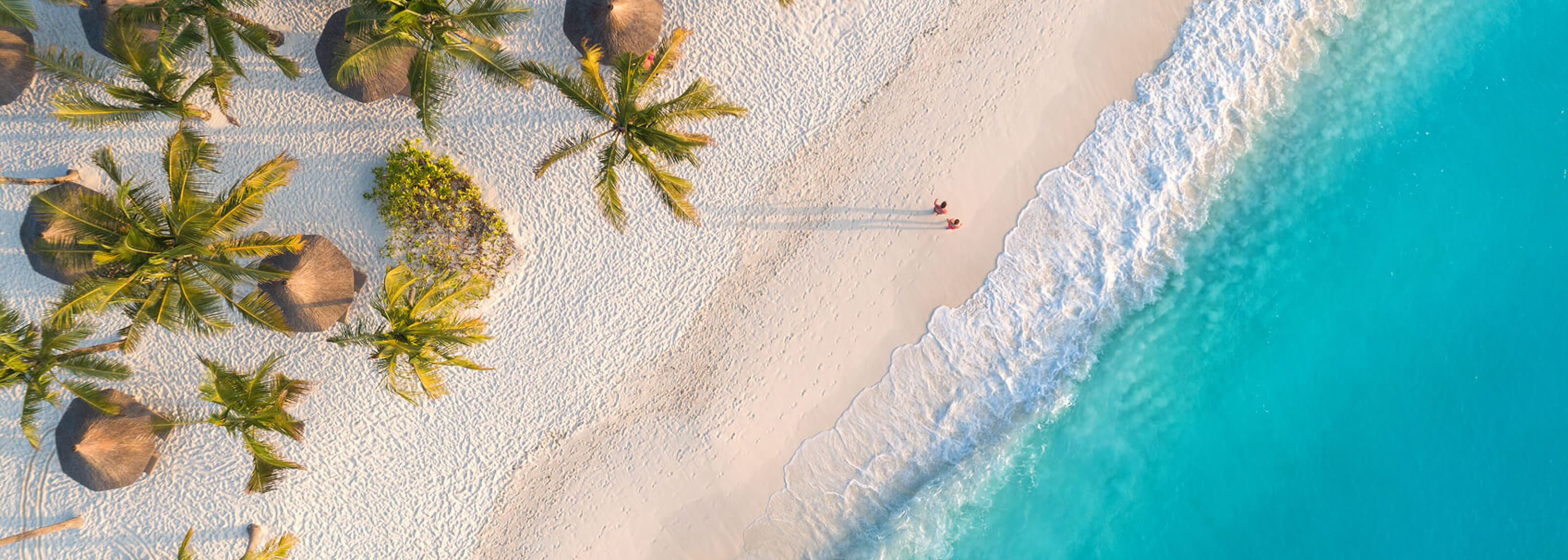 Header image Zomervakantie (desktop)