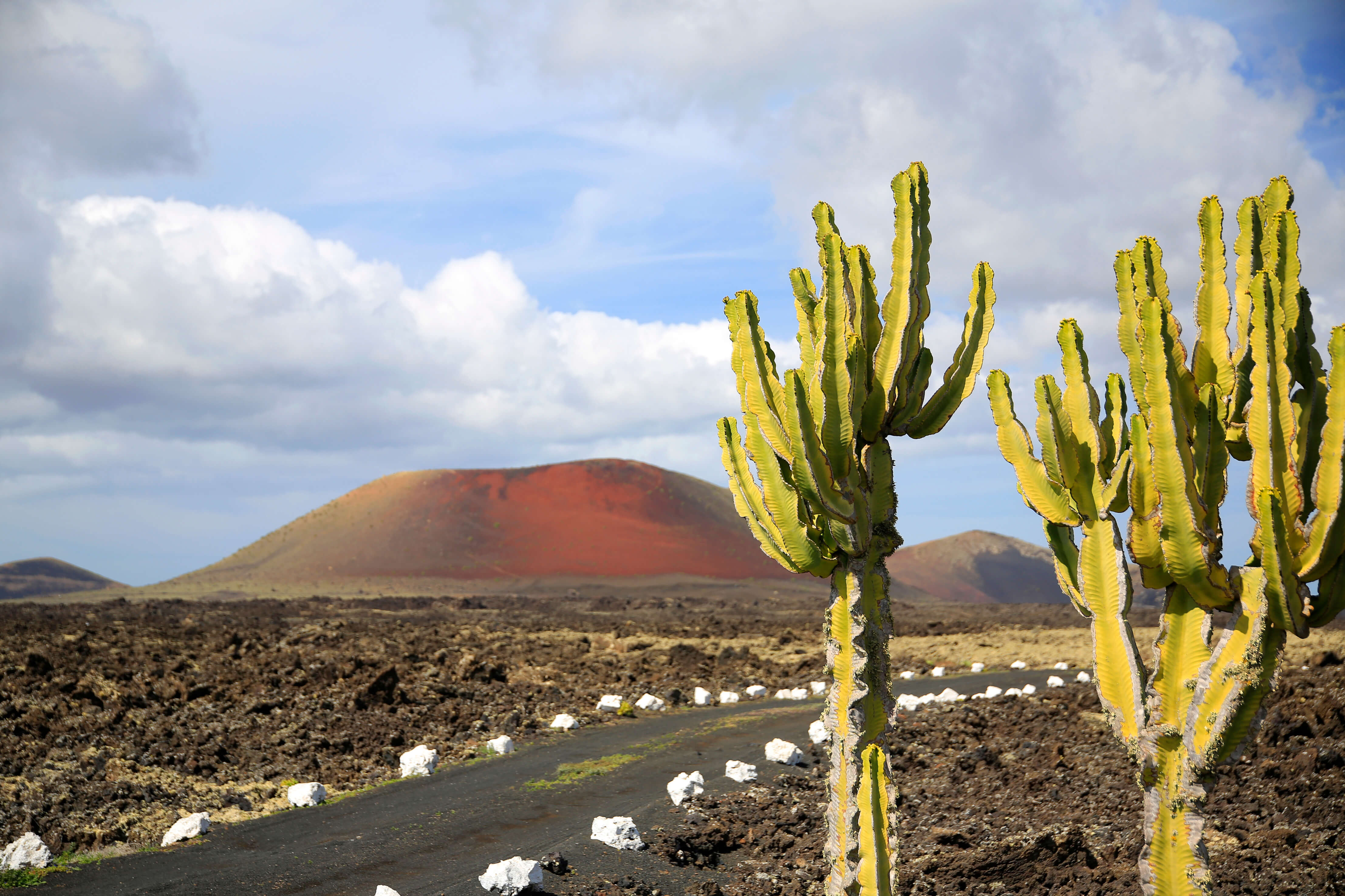 Wat is het leukste Canarische eiland: Lanzarote of Fuerteventura?