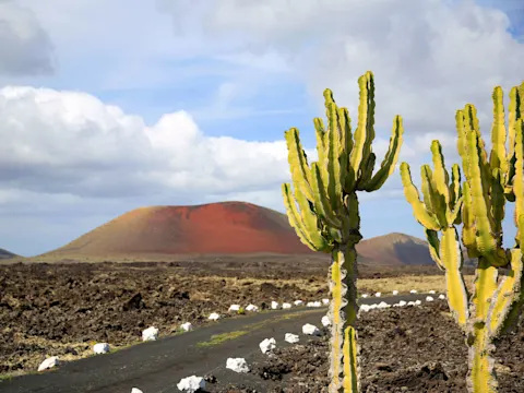 Wat is het leukste Canarische eiland: Lanzarote of Fuerteventura?
