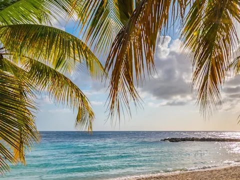 Tropisch genieten in de beste hotels en appartementen op Curaçao