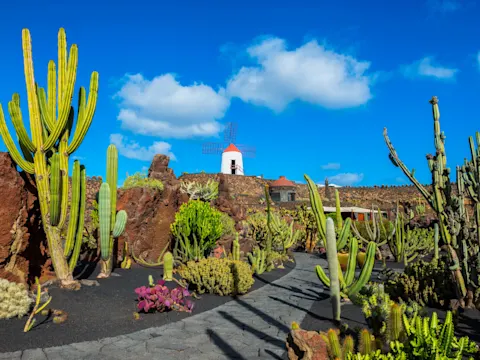 8x de leukste bezienswaardigheden op Lanzarote