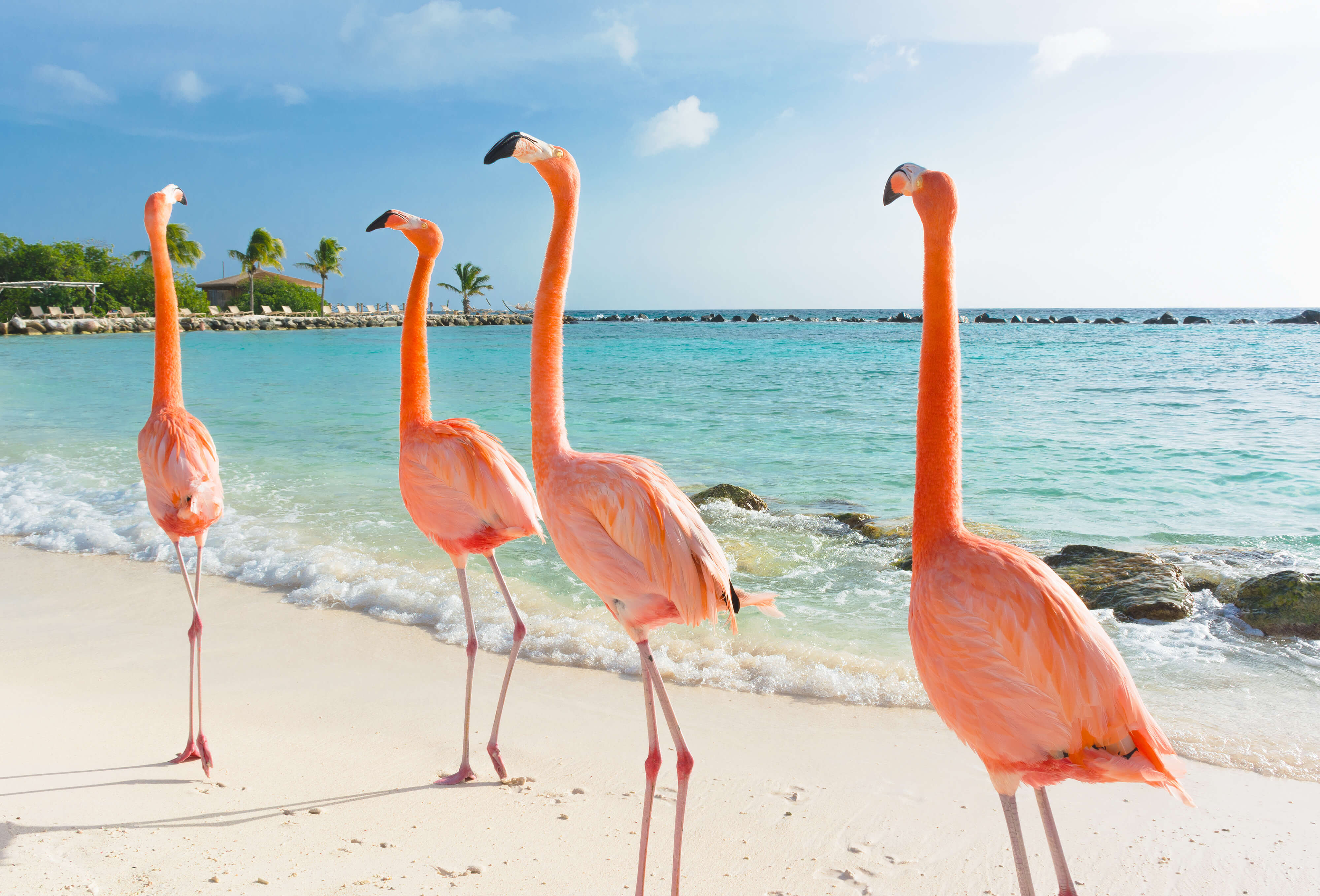 Mooiste plekken op Curaçao