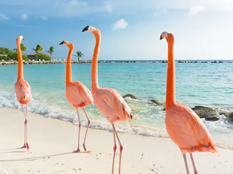 Mooiste plekken op Curaçao