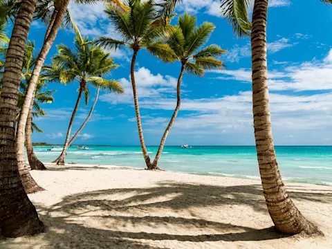 Vakantie Santo Domingo