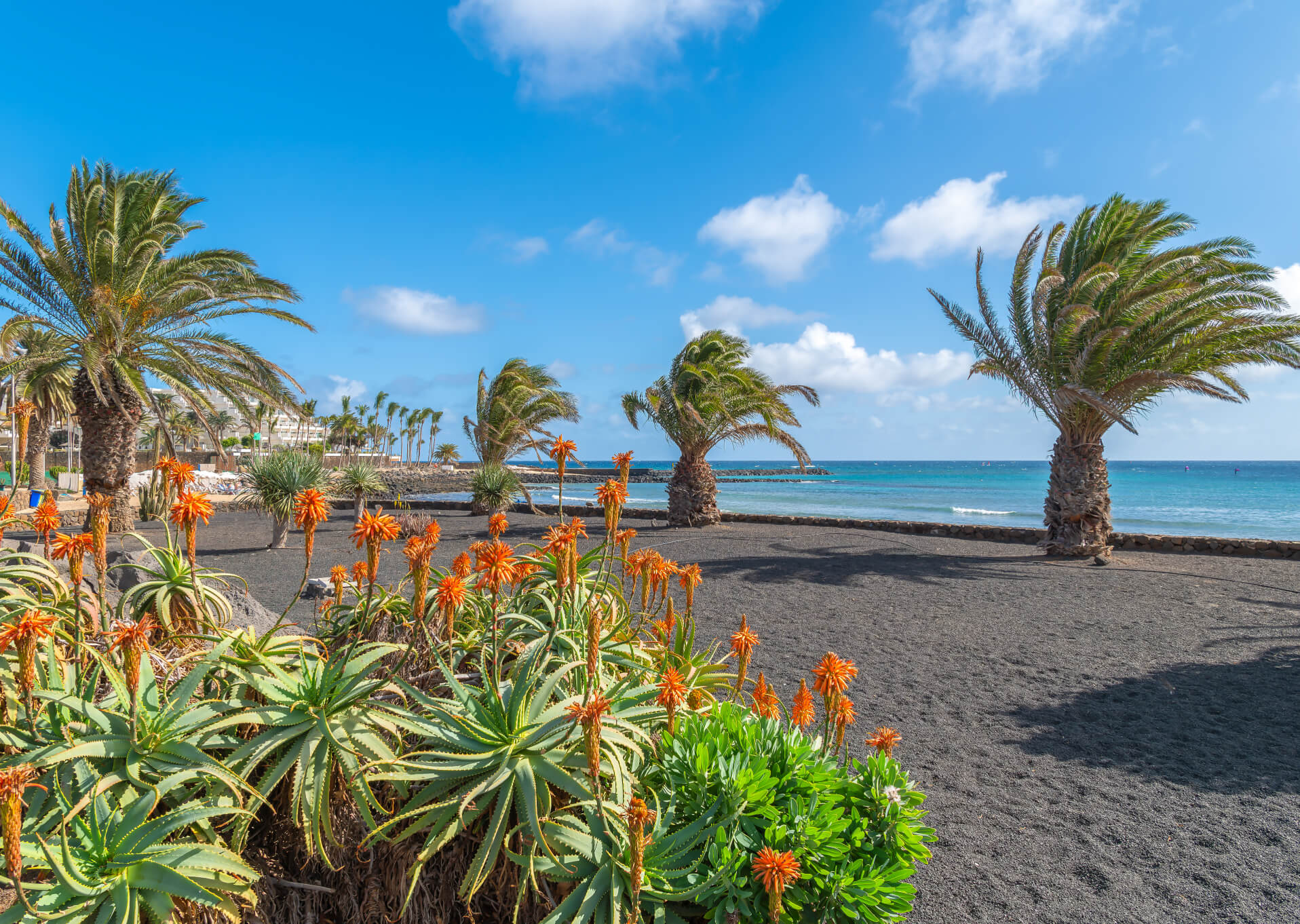 Vakantie Costa Teguise