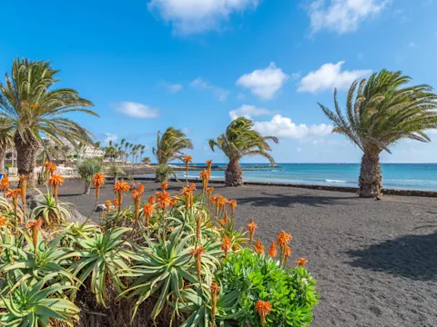Vakantie Costa Teguise