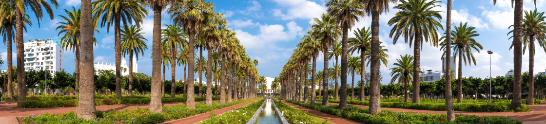 Vakantie in Casablanca