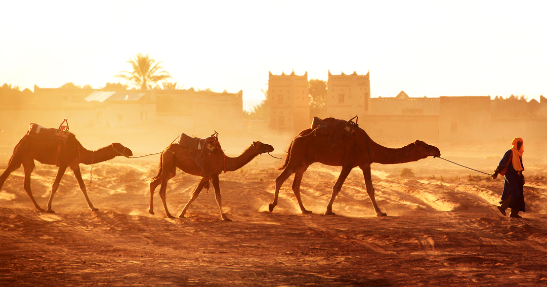 8x de leukste dingen om te doen in Marokko