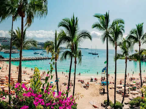 Last minute Canarische eilanden