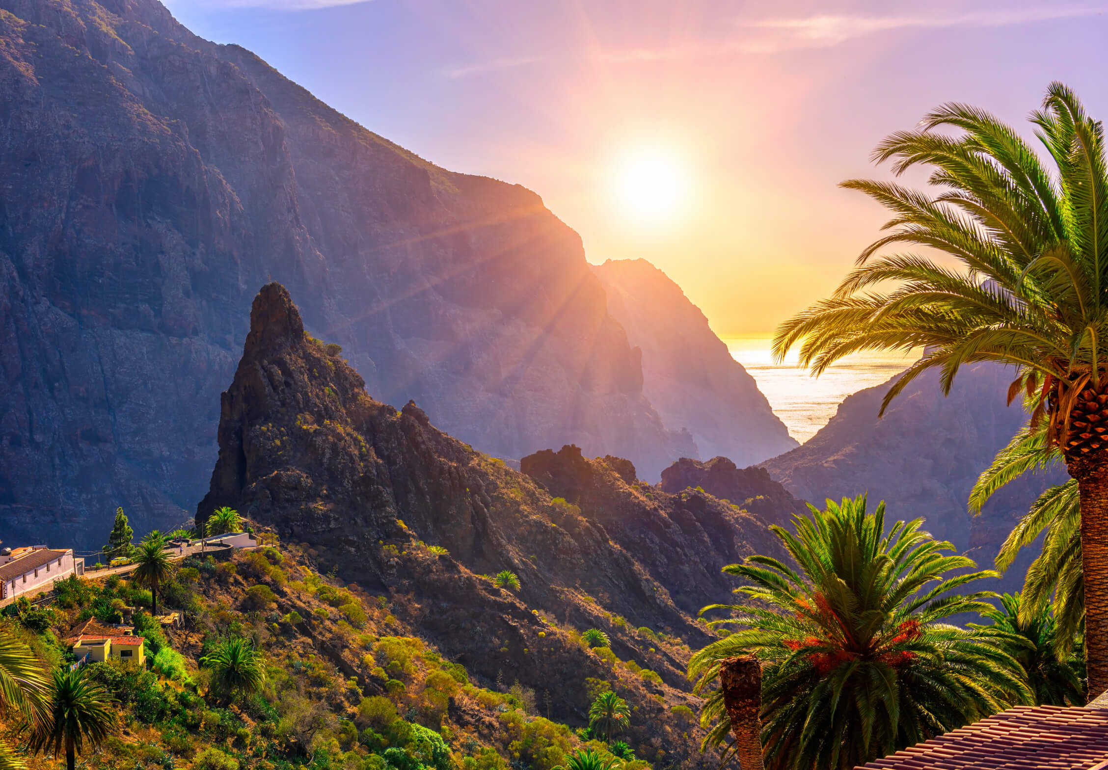 Gran Canaria of Tenerife: welk eiland is het leukste?