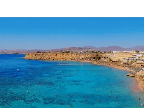 Last minute Rode Zee