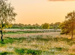 Vakantie in Overijssel