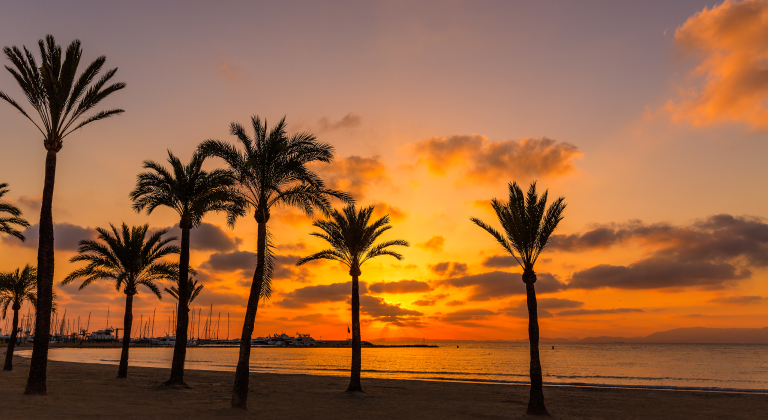 Vakantie in El Arenal