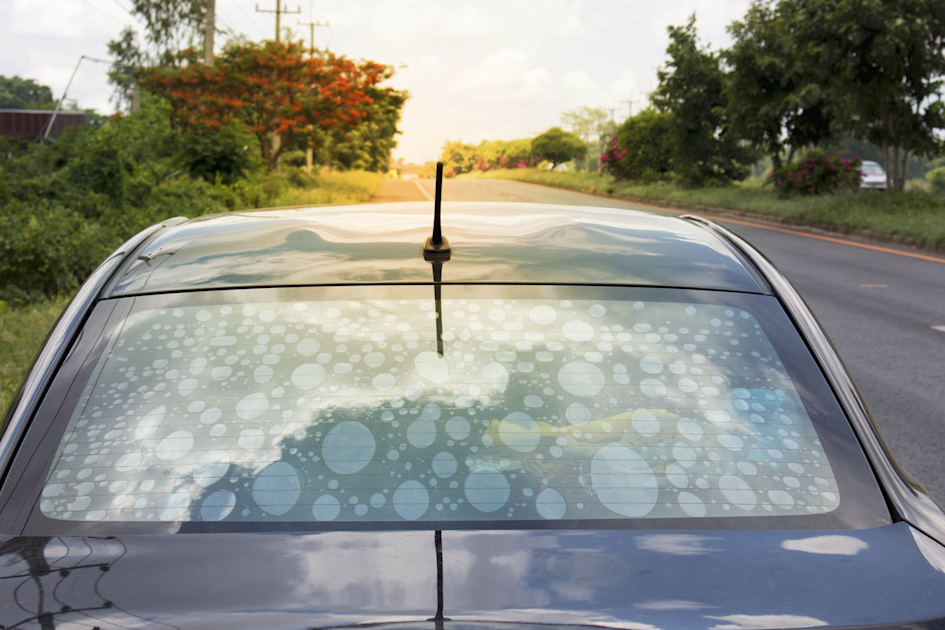 The Ultimate Guide to Preventing Window Tint Bubbles