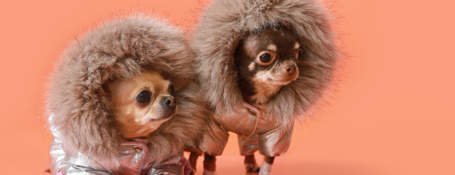 Can You BRRRR with Off-the-Plan? Not Quite. But Here's What You Can Do