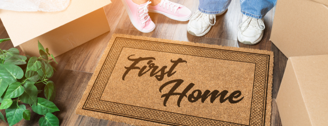 Should First Home Buyers Buy a PPOR or Investment Properties?