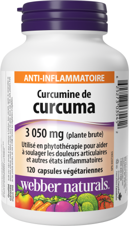 Curcumine de curcuma  3 050 mg  120 capsules végétariennes
