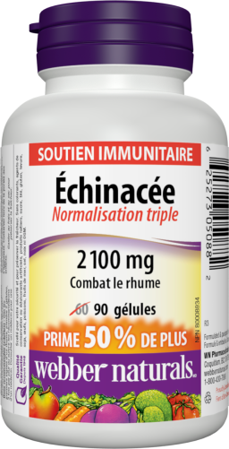 Échinacée Normalisation triple  2 100 mg  90 gélules