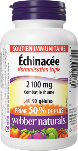 Échinacée Normalisation triple  2 100 mg  90 gélules