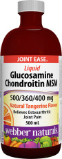 Liquid Glucosamine Chondroitin MSM 