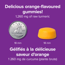 Curcumine de Curcuma 1 260 mg orange