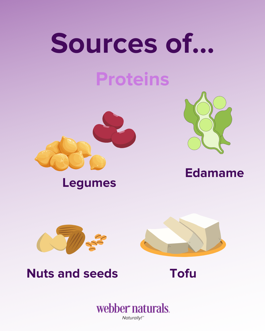Sources of Proteins