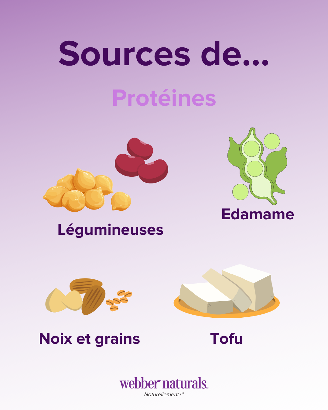 Sources de protéins 