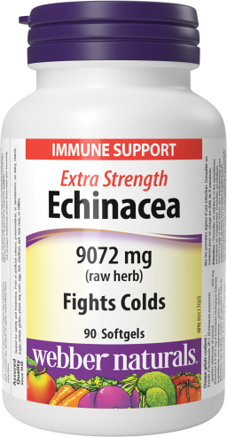 Echinacea Extra Strength