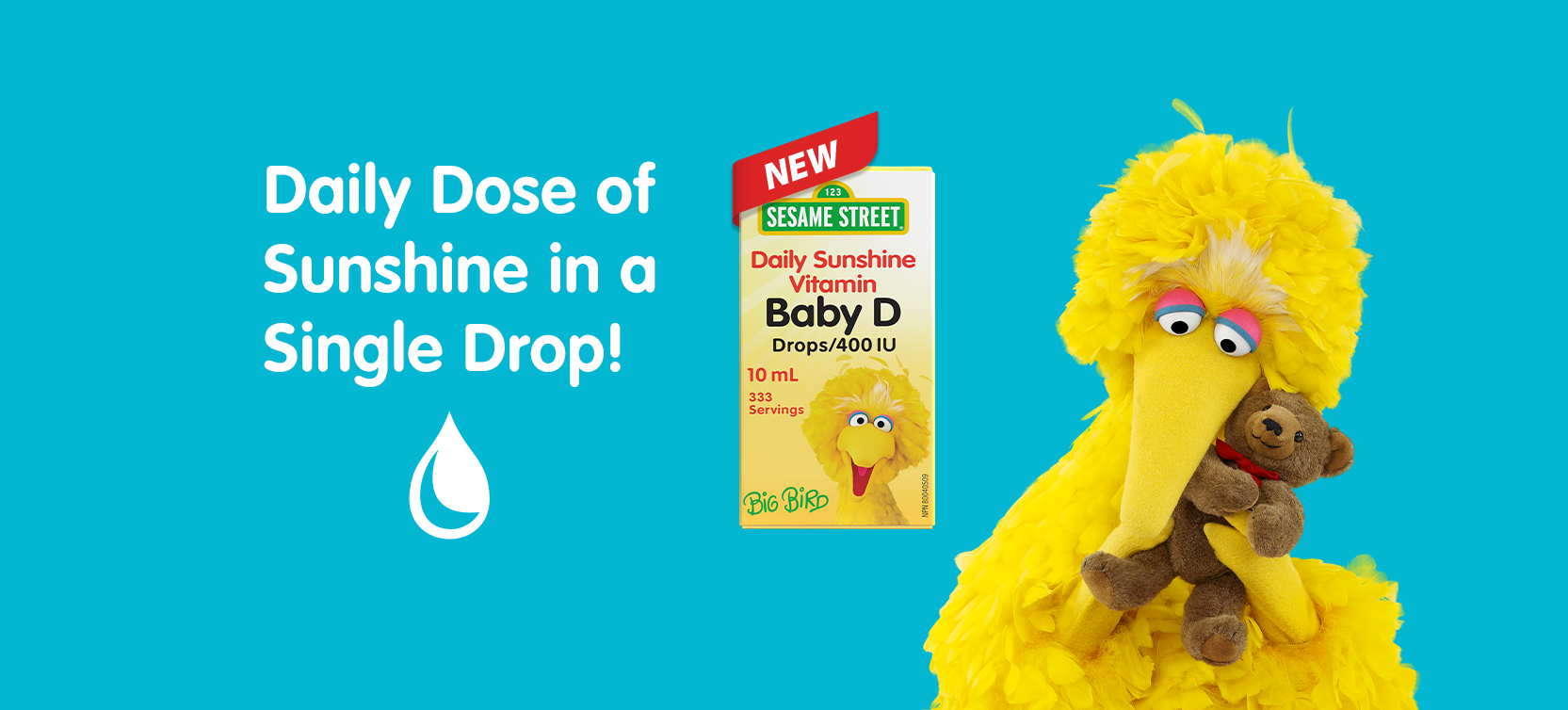 Sesame Street Big Bird with Vitamin D Sunshine