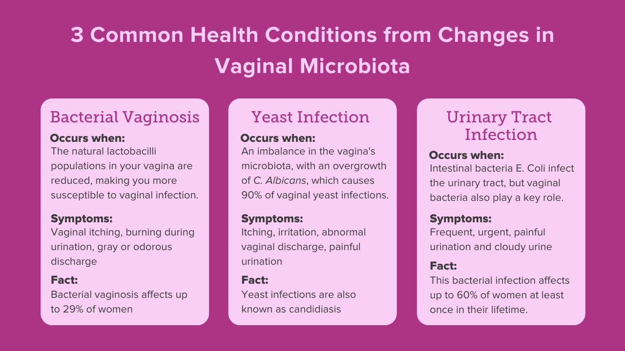 Common Health Conditions from Changes in Vaginal Microbiota Infographic 