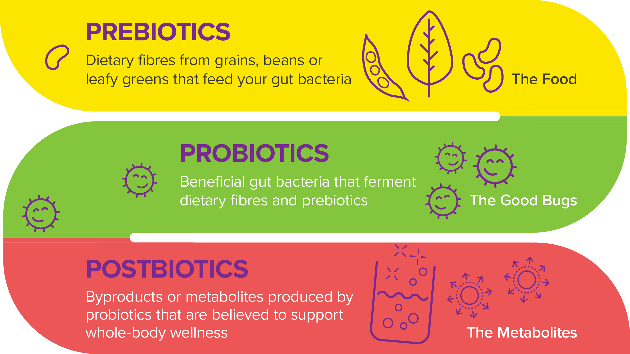 Infographic probiotics