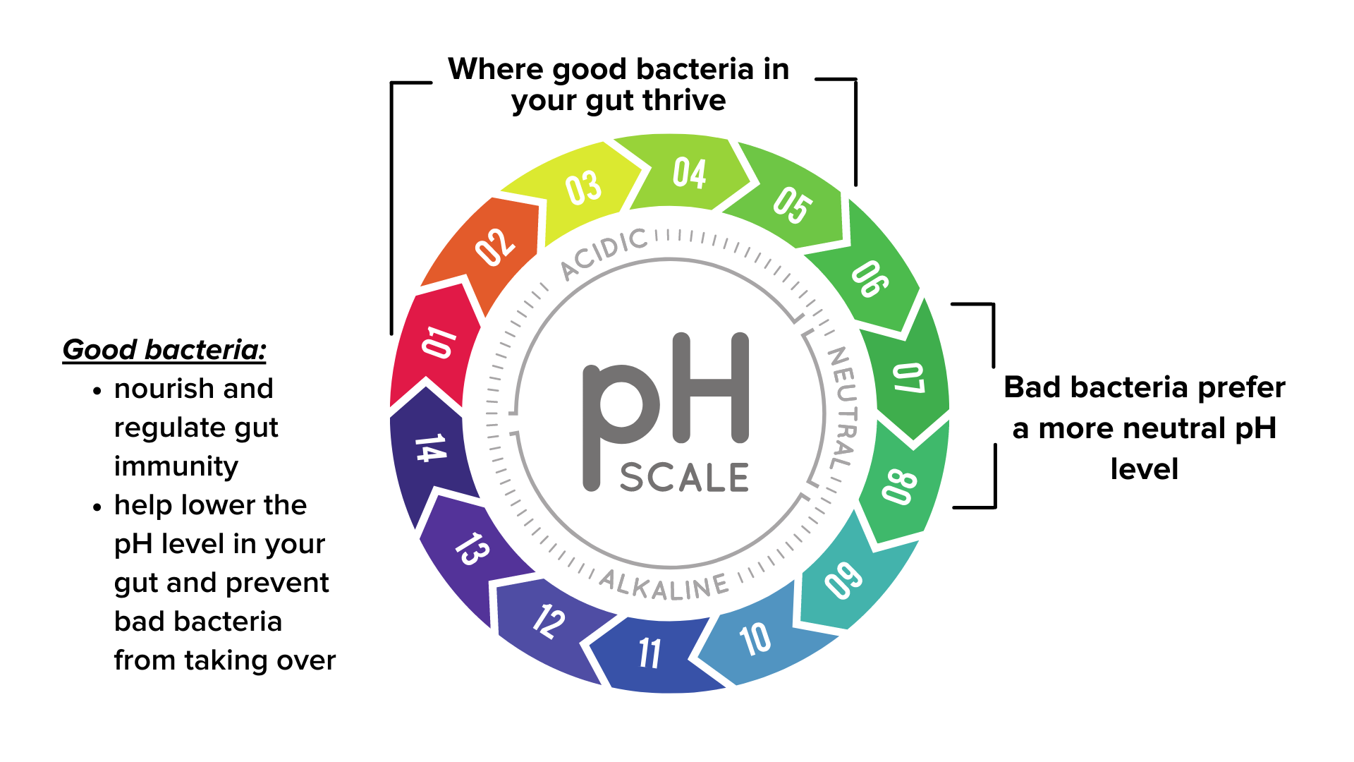 pH levels in the stomach