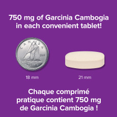Garcinia Cambogia 60 % d'AHC 750 mg