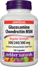 Glucosamine Chondroitin MSM Regular Strength