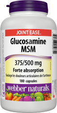 Glucosamine MSM Forte Absorption