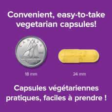 Quercetin with Zinc & Copper 500 mg Vegetarian Capsules