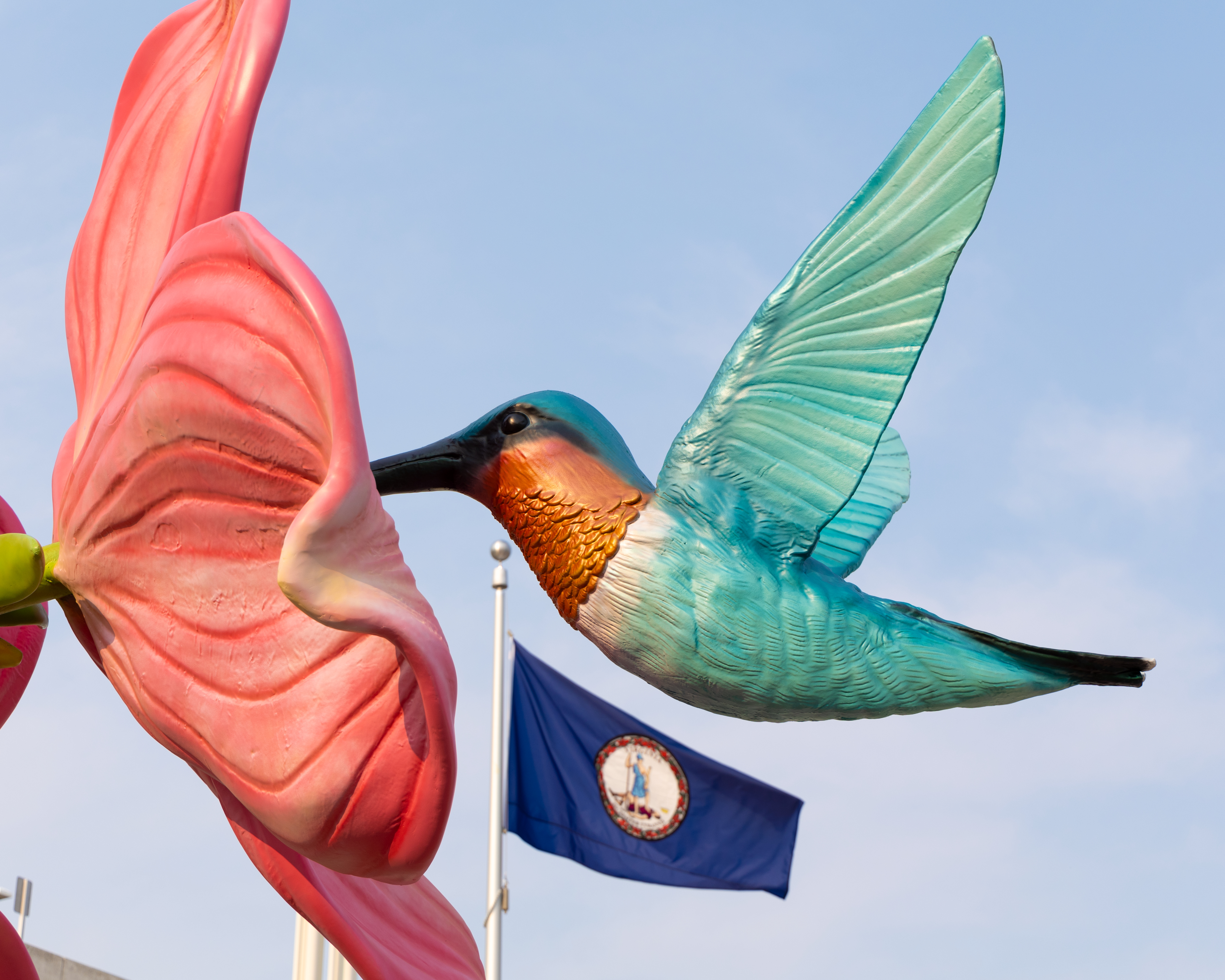 Henry the Hummingbird Flying over Virginia Flag Photo