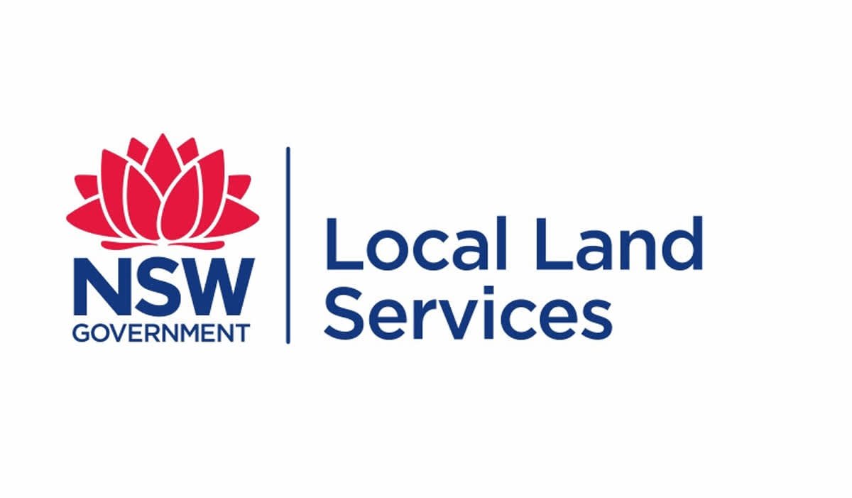 Cowra Local Livestock Health Update LLS The Cowra Phoenix Cowra Region News and Current