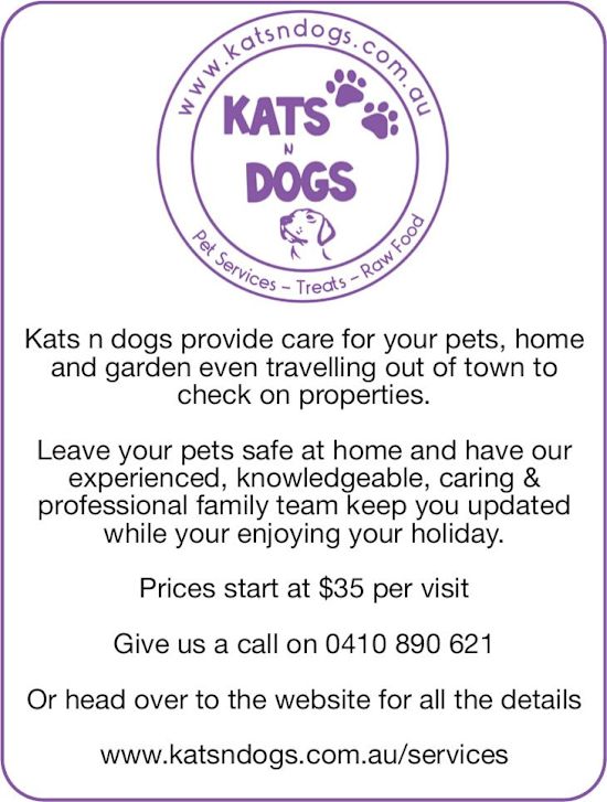 Kats n Dogs – Target