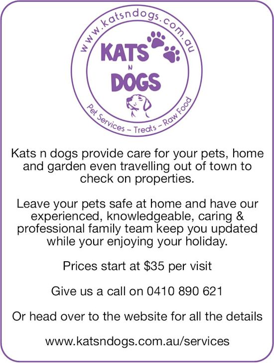Kats n Dogs
