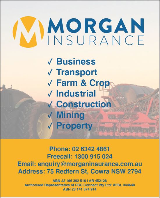 Morgan Insurance - Target