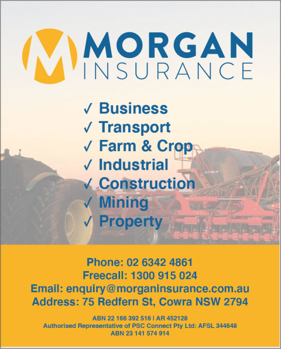 Morgan Insurance