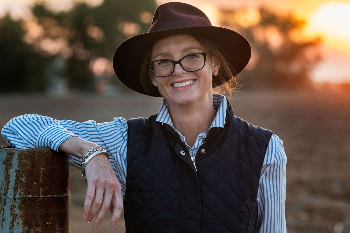 Steph Cook Mp A Christmas Message From Steph Cooke | The Cowra Phoenix - Cowra Region ...
