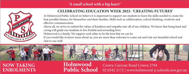 Holmwood Public School – Target
