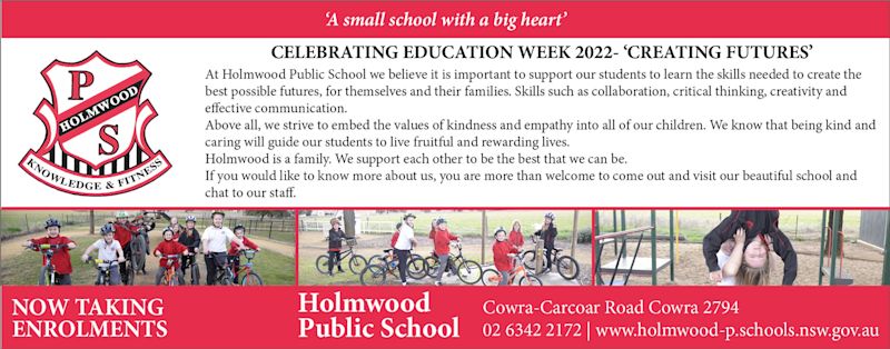 Holmwood Public School – Target
