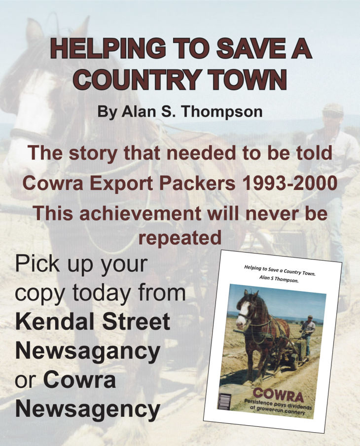 Helping To Save Country Town
