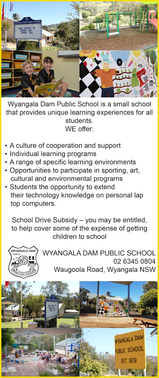Wyangala Dam Public School – Target